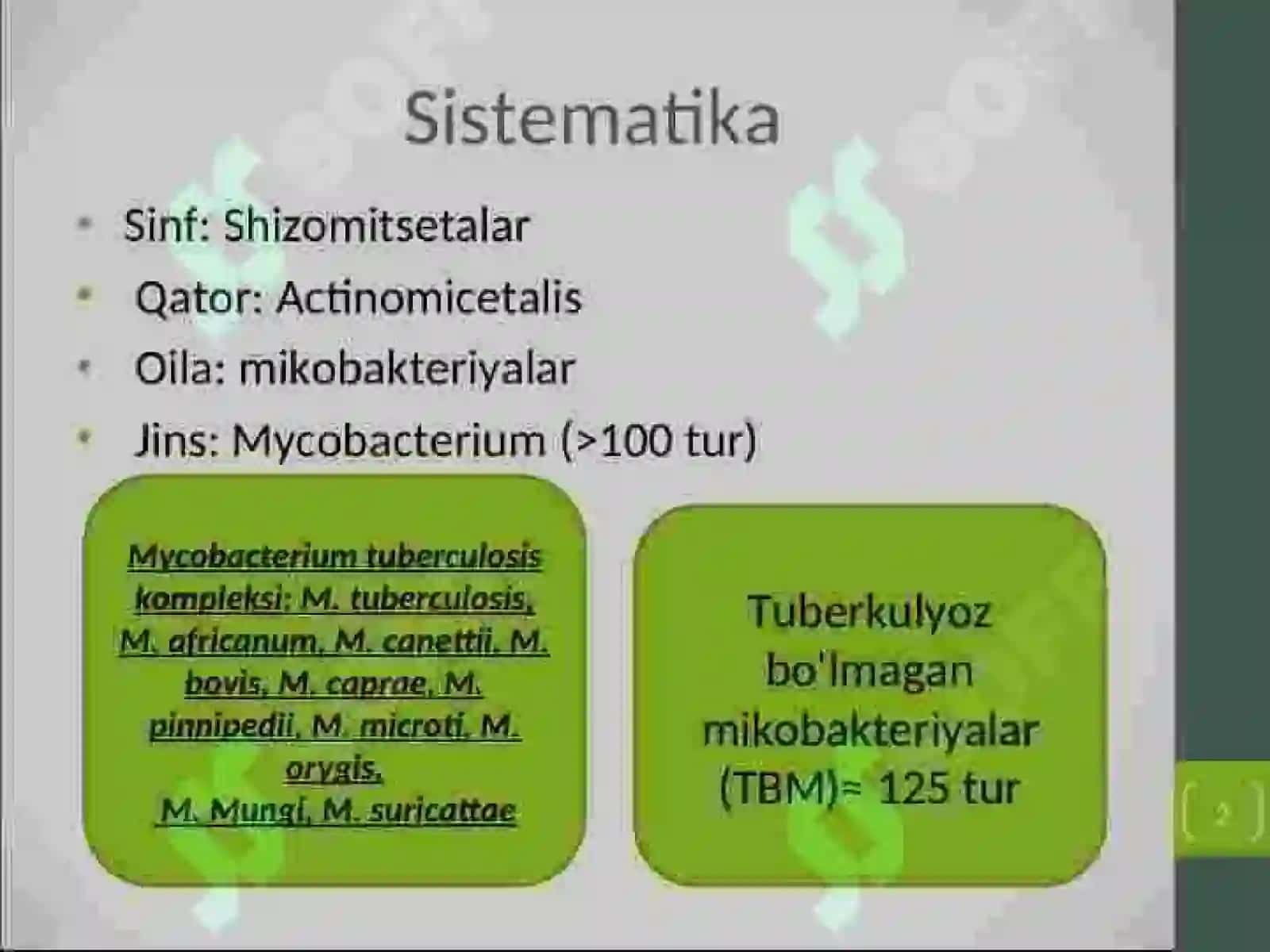DI_24/03-guruhtalabasi 2