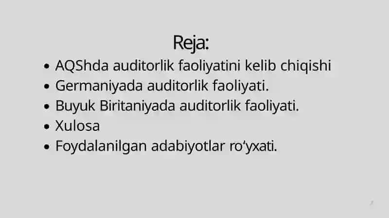 Auditorlik faoliyati 2