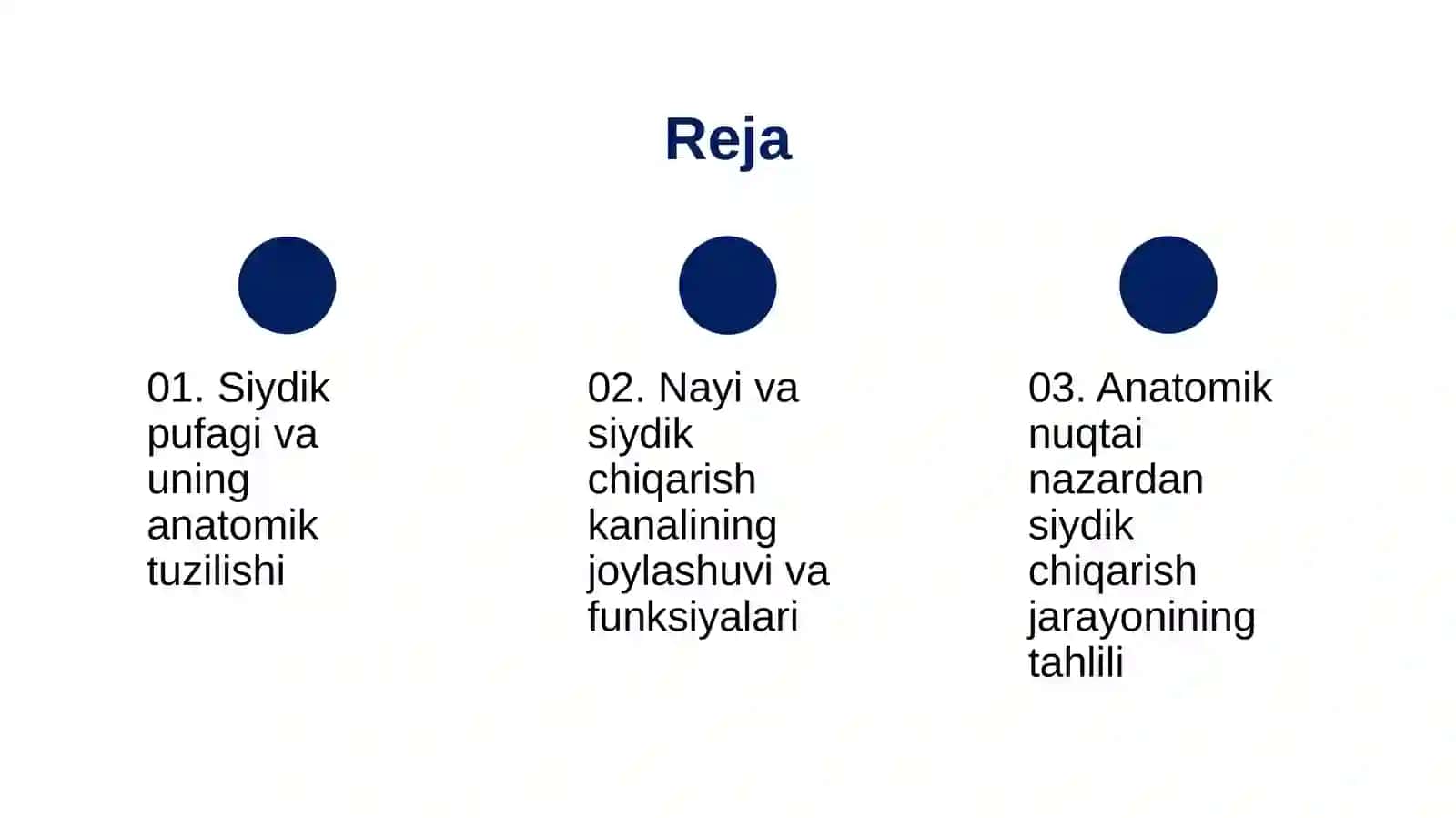 Siydik pufagi, nayi, siydik chiqarish kanali anatomiyasi 2