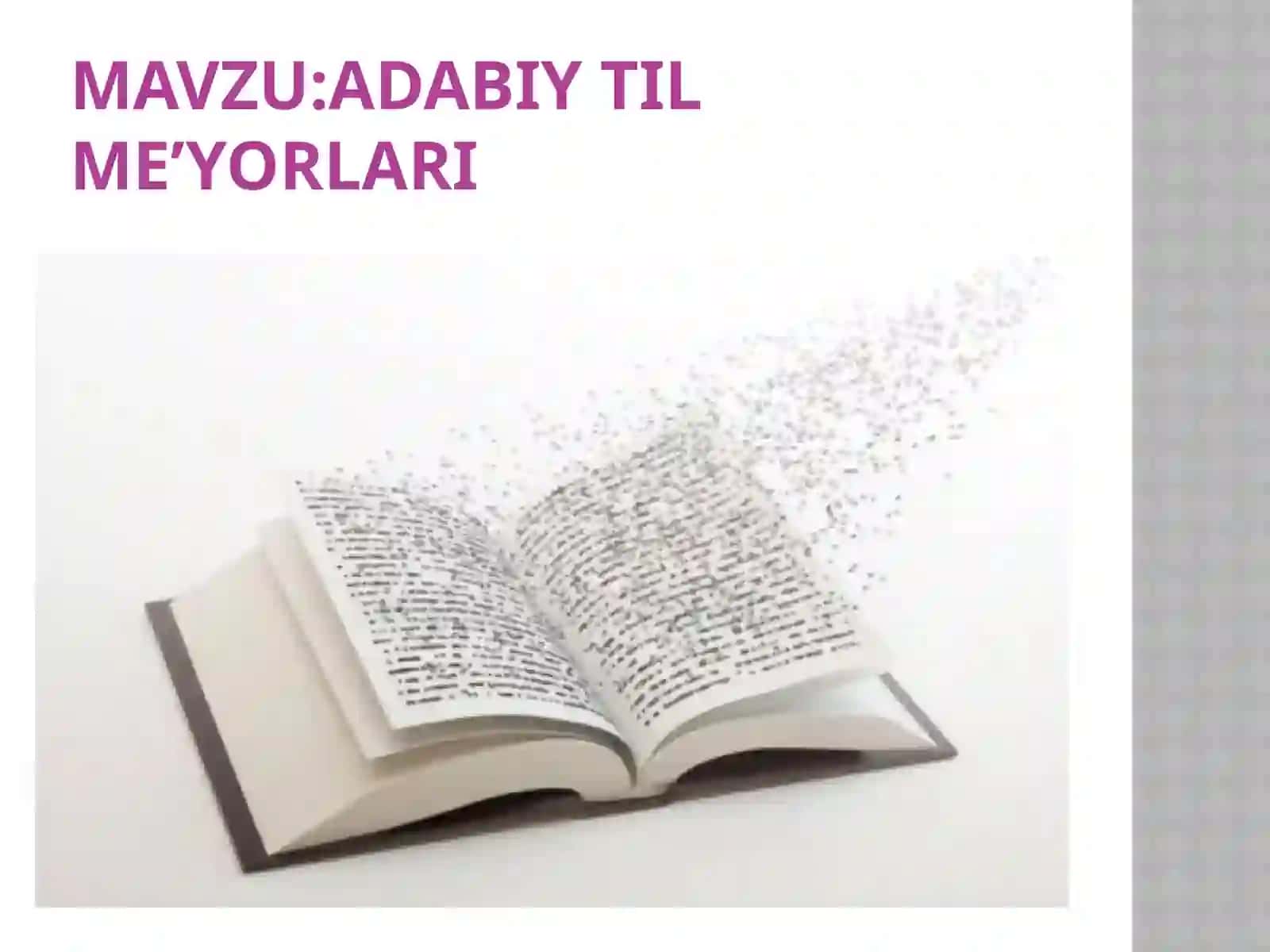 Adabiy til me’yorlari 2