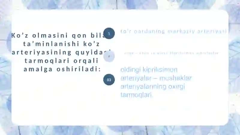 Ko'z olmasi va uning yordamchi a'zolarning qon bilan ta'minlanishi 2