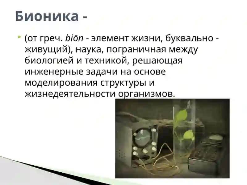 Бионика 2