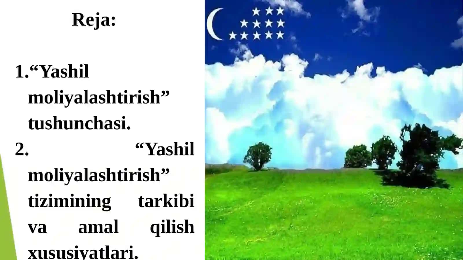 Yashil iqtisodiyotga o‘tish jarayonini moliyalash-tirish 2