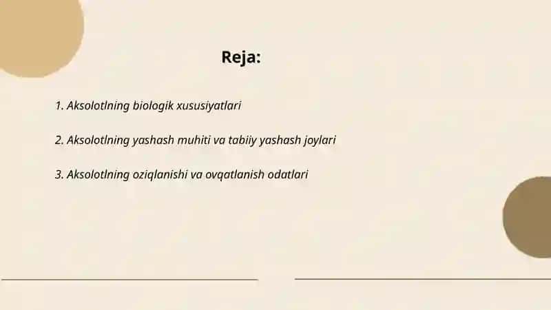 Aksolotl biologik xususiyatlari 2