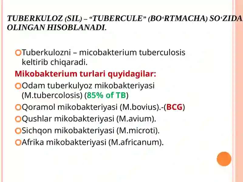 Tuberkuloz (SIL) 2