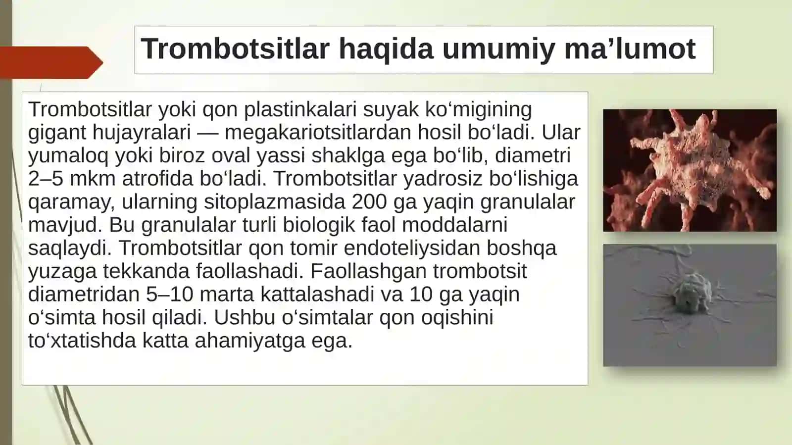 Trombotsitlar 2