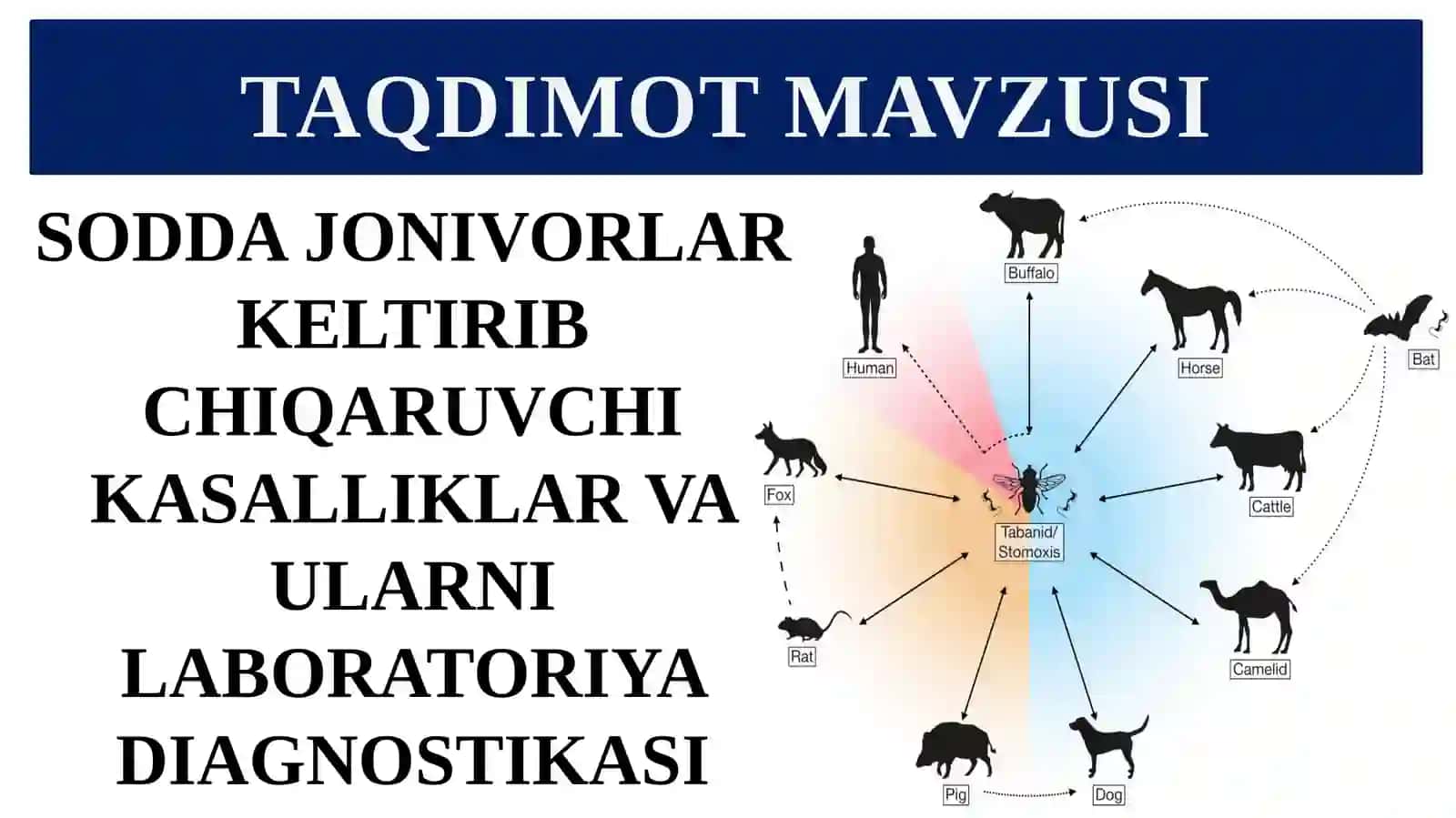 SODDA JONIVORLAR KELTIRIB CHIQARUVCHI KASALLIKLAR VA ULARNI LABORATORIYA DIAGNOSTIKASI HAQIDA TO'LIQ MA'LUMOT 2