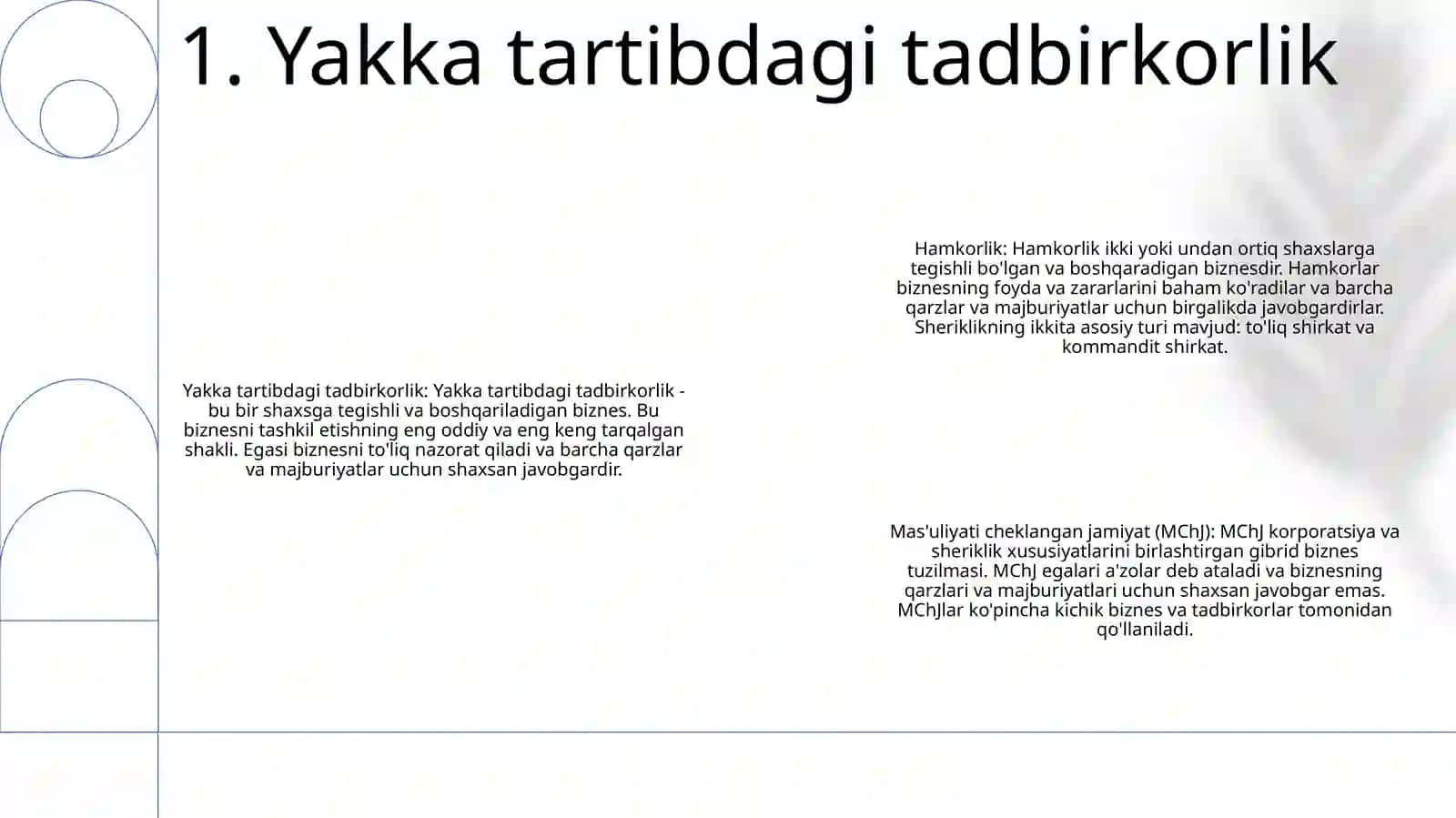 Yakka tartibdagi tadbirkorlik 2