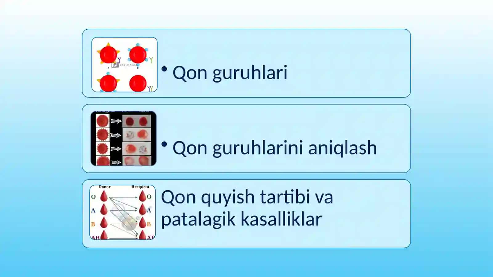 Qonguruhlari 2