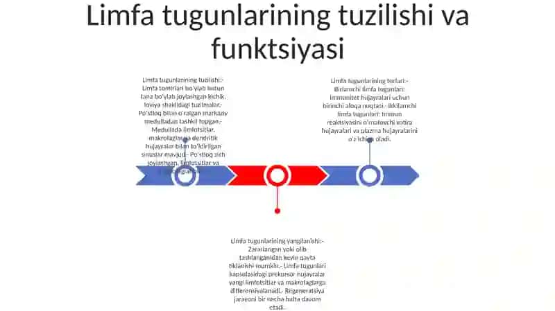Limfa tugunlarining tuzilishi va funktsiyasi 2