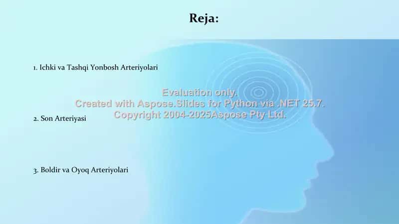 Ichki va Tashqi yonbosh arteriyalari 2
