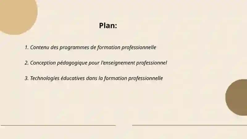 Contenu des programmes de formation professionnelle 2