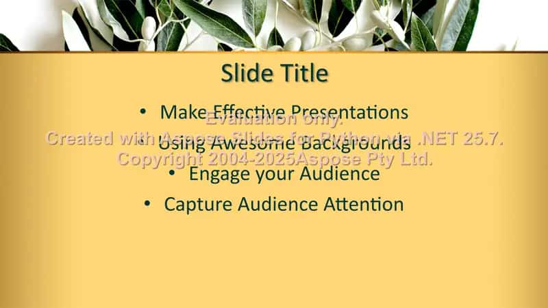 Presentation Design Templates 2