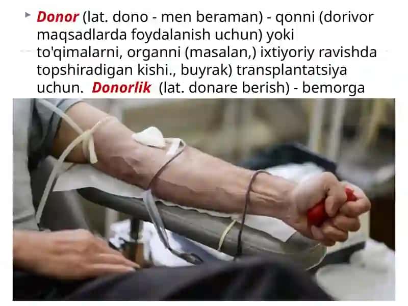 Donorlik 2
