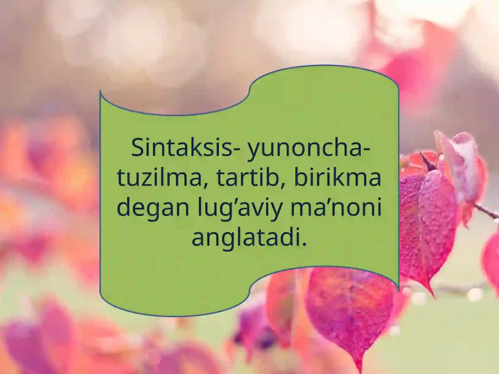 Soddagaplar haqida vaularning mazmuniy munosabati 2