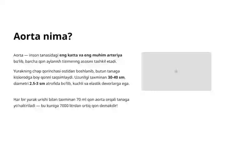 Aorta va uning bo'limlari 2