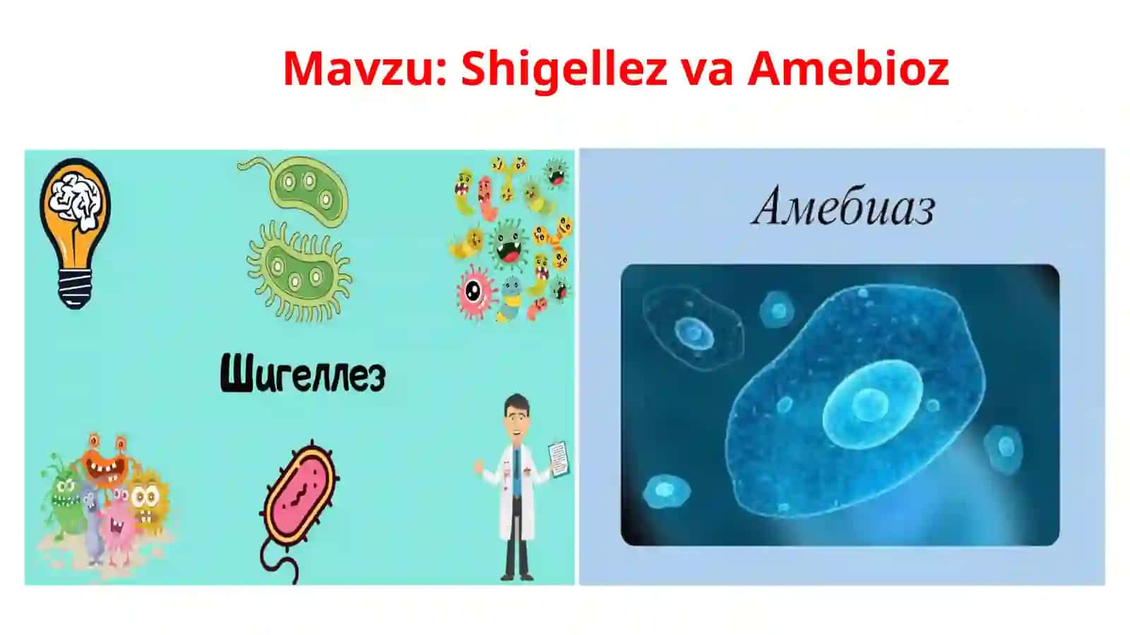 Shigellez amebiaz 2