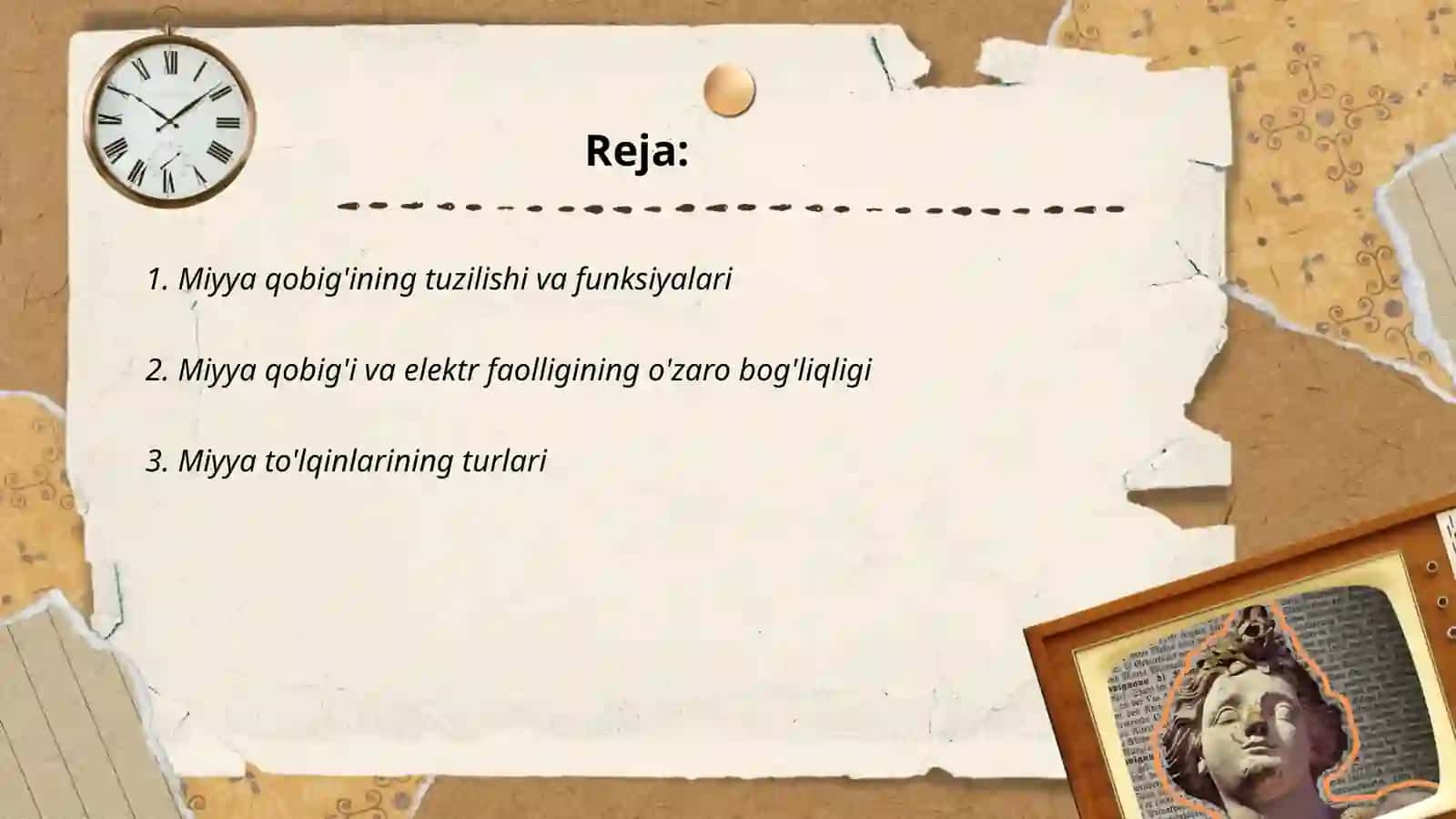 Miyya qobig'ining elektor aktivligi 2