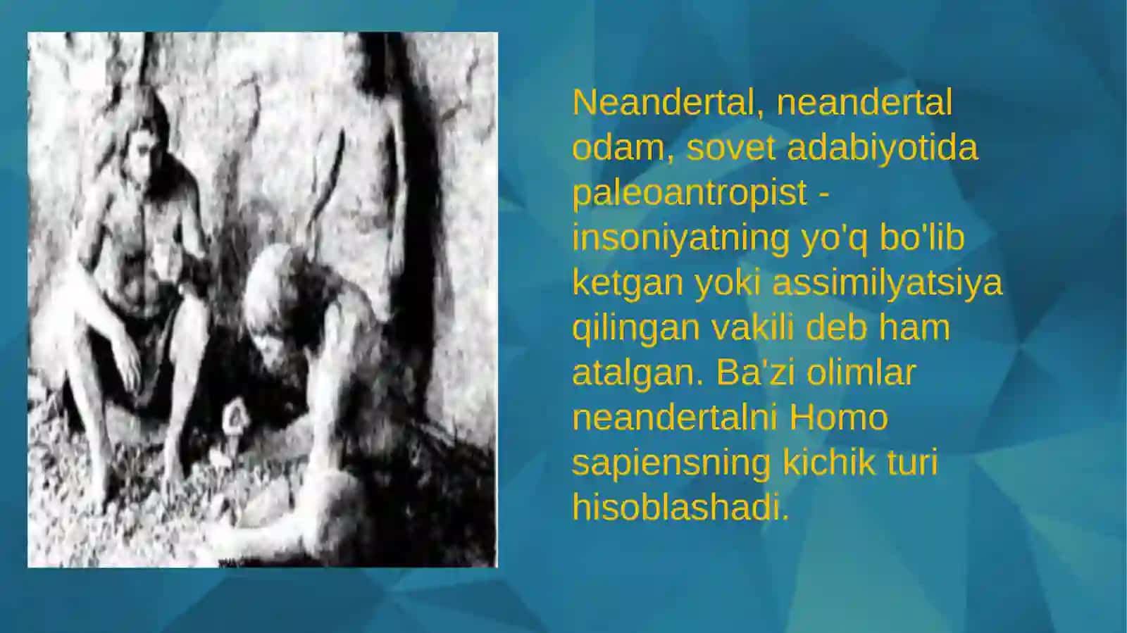 Neandertal 2