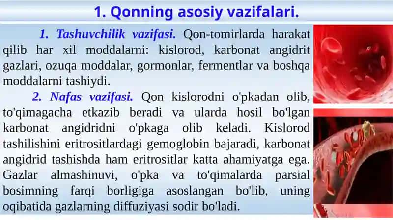 Qonfiziologiyasi 2
