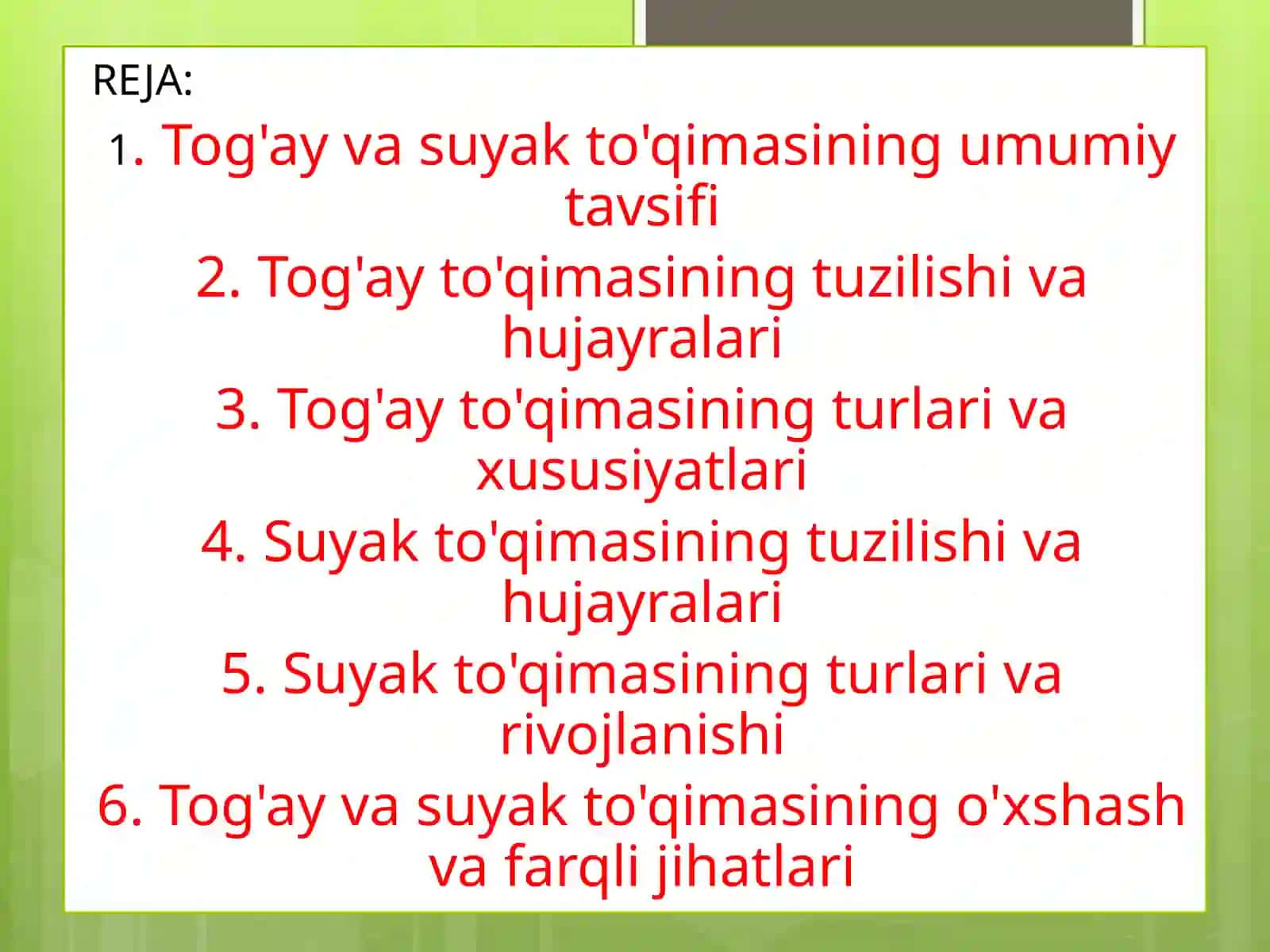 Tog’ay va suyakto’qimlari 2