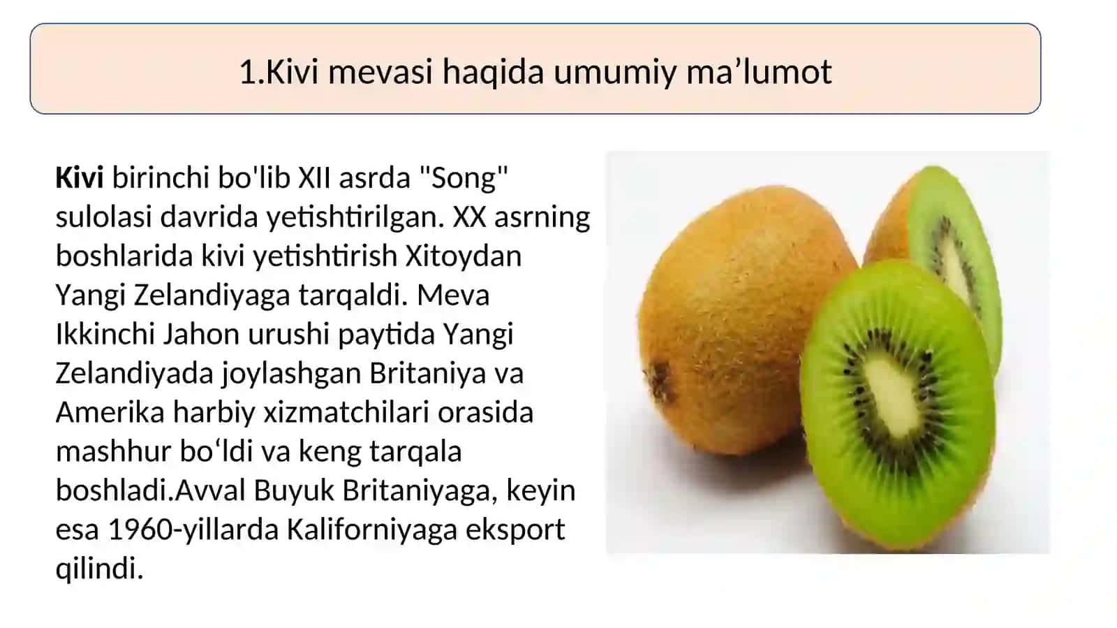 Kivini qurutish texnologiyasi 2