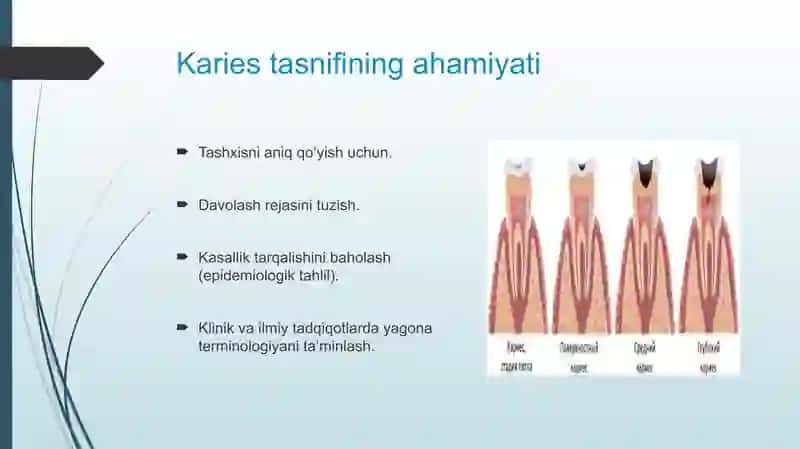 Kariestasniflari 2
