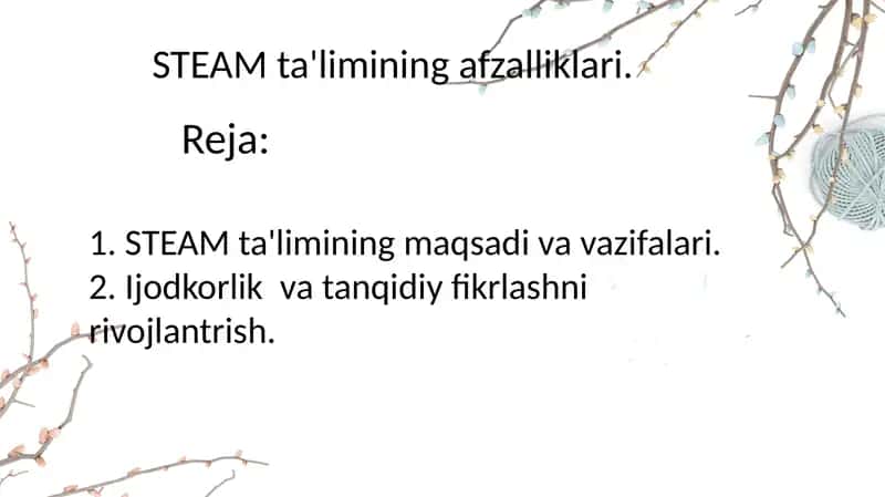 STEAM ta'limi 2