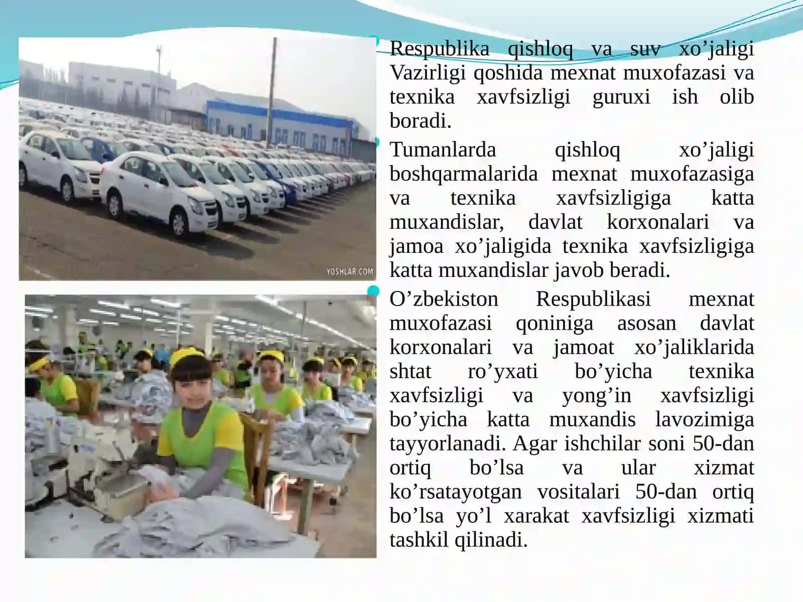 Dorivor o’simliklarini yetishtirish korxonalari va bog’dorchilikda mexnat muxofazasi ishlarini tashkil etish. Ergonomika va xavfsizlikni boshqarish 2
