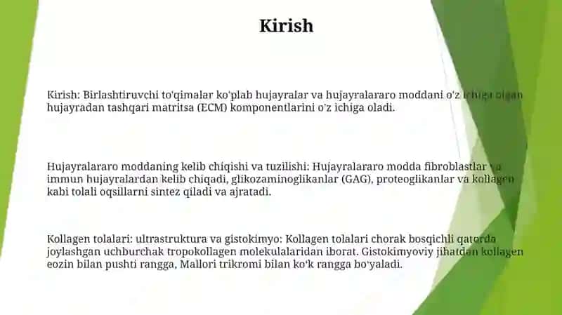 Biriktiruvchi Tuqimaning Hujayralararo Moddasining Kelib Chiqishi Va Tuzilishi 2