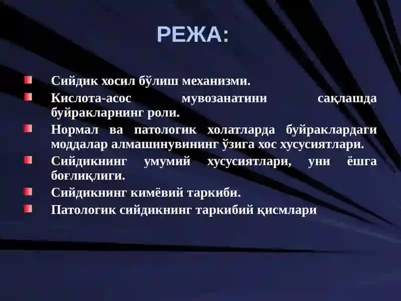 Буйрак биокимёси 2
