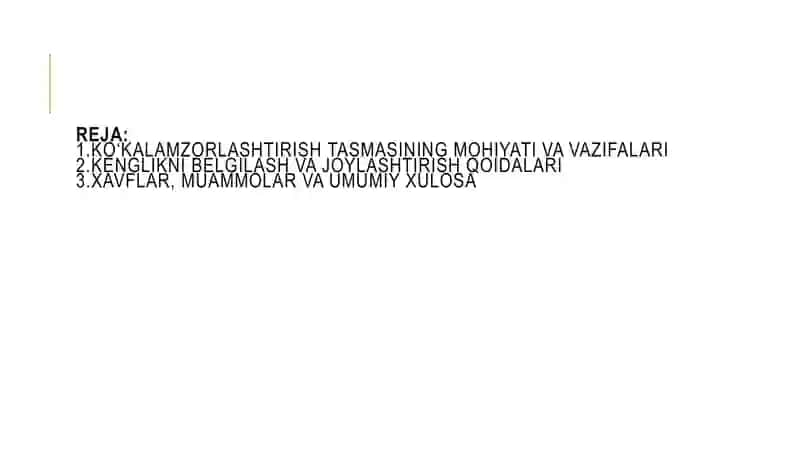 Shahar yo‘llari va ko‘chalarida ko‘kalamzorlashtirish tasmasi 2