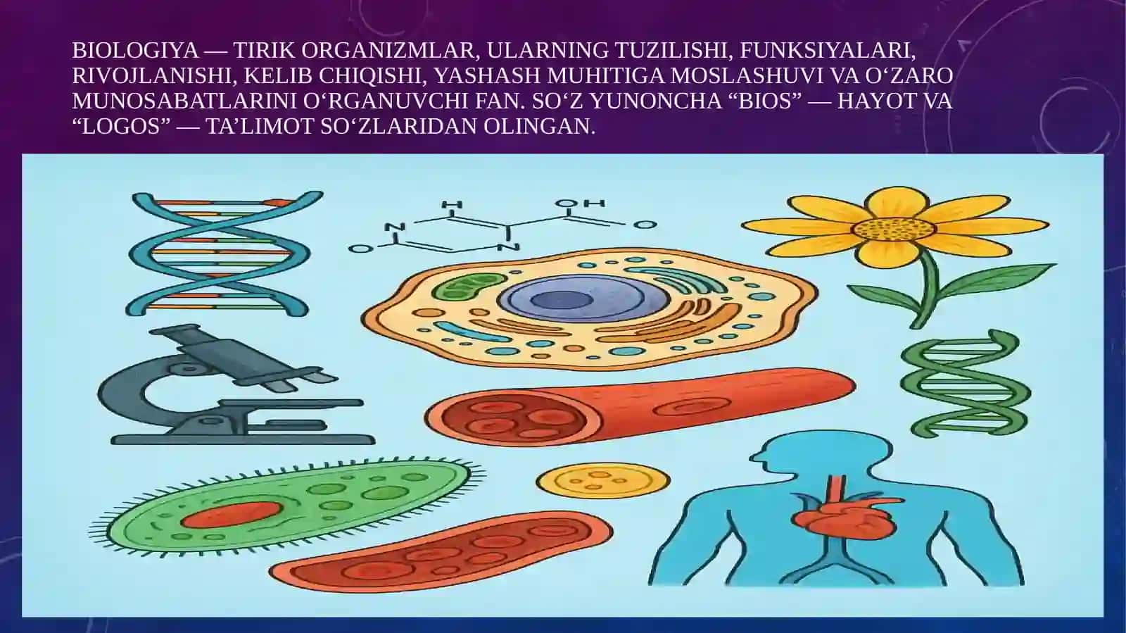 Mikroskopning tuzilishi. Mikroskop bilan ishlashni o'rganish. Vaqtinchalik preparat tayyorlash va unitahlil qilish 2