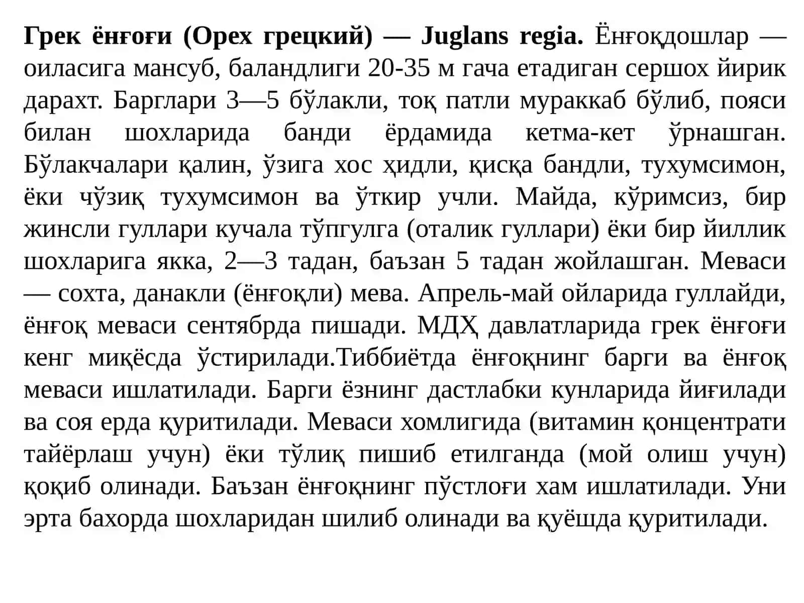 Грек ёнғоғи (Орех грецкий) 2