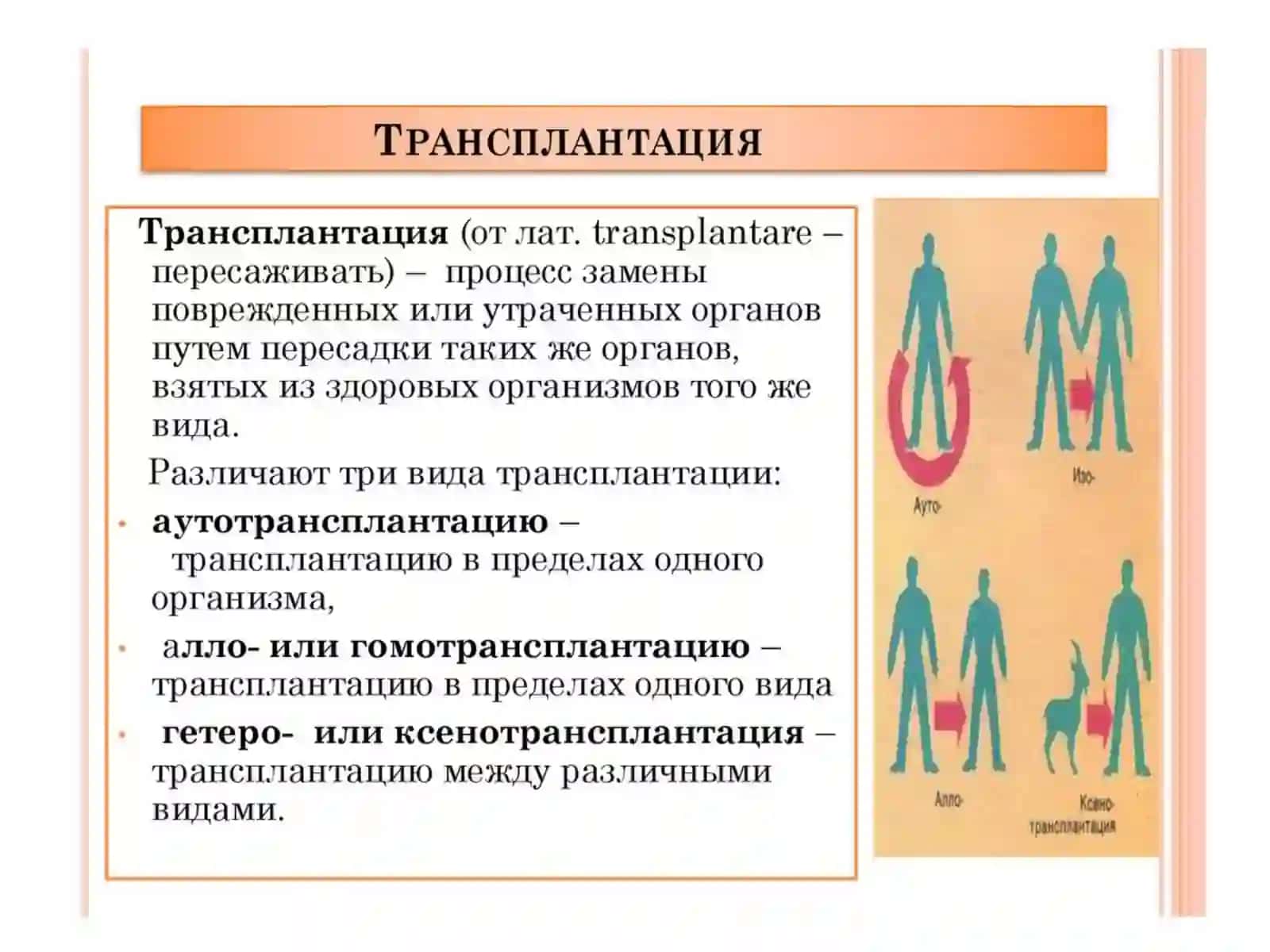 РАЗВИТИЕ ТРАНСПЛАНТАЦИ ИНАСОВРЕМЕННОМ ЕТАПЕ 2