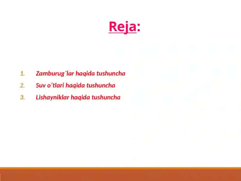 Zamburug`lar haqida umumiy tushuncha 2