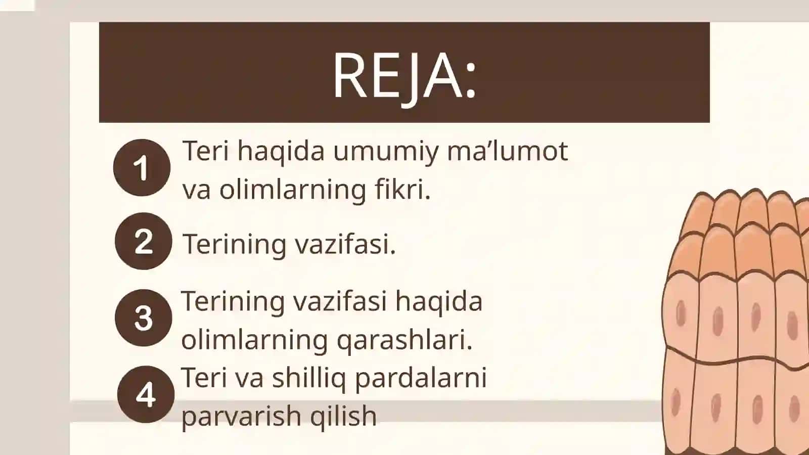 Teri fiziologiyasi 2