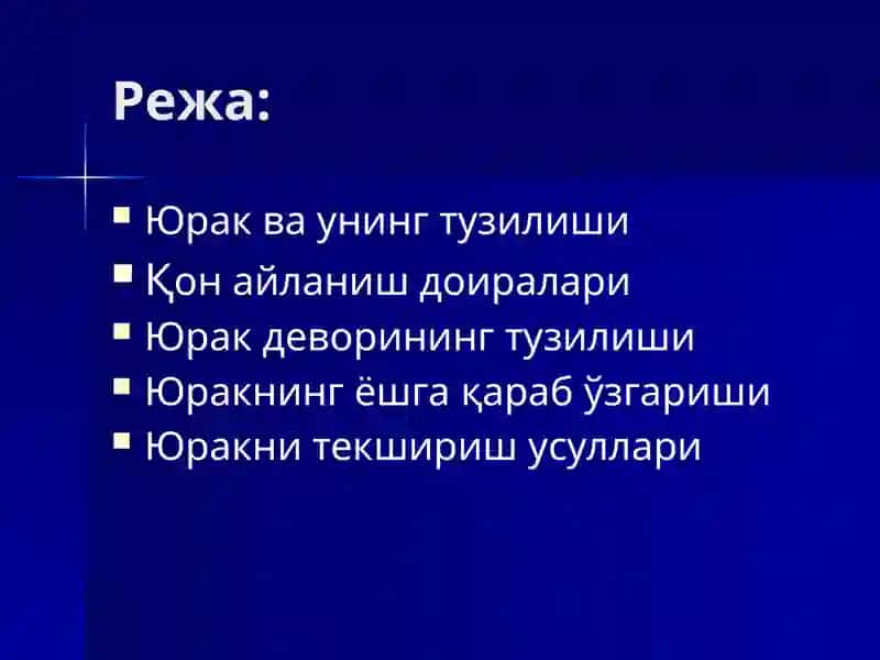 Юрак, қон айланиш доиралари, юракнинг ёшга қараб ўзгариши 2