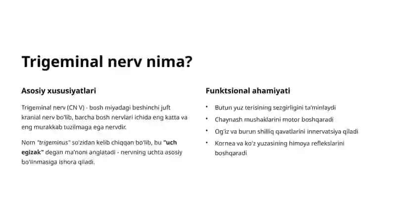 Trigeminal Tizim Anatomiyasi 2