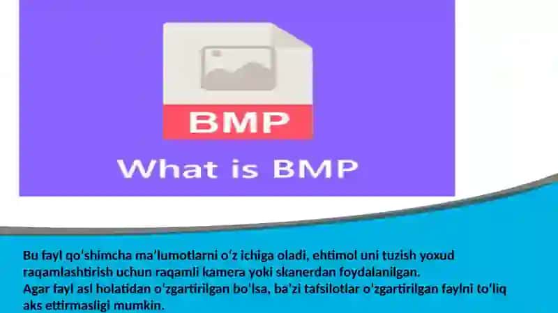 Bitmap fayl 2