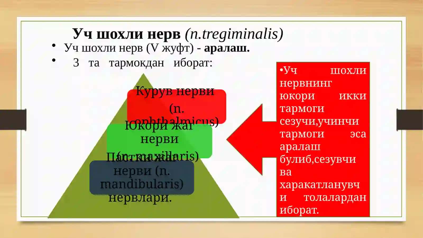 Учшохли нервлари зарарланишида чуррайдиган нейростоматологик синдромлар 2