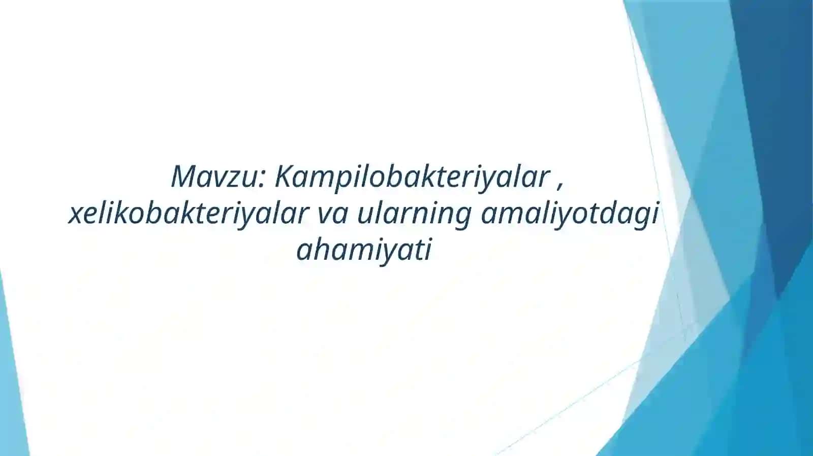 Kampilobakteriyalar, xelikobakteriyalar va ularning amaliyotdagi ahamiyati 2