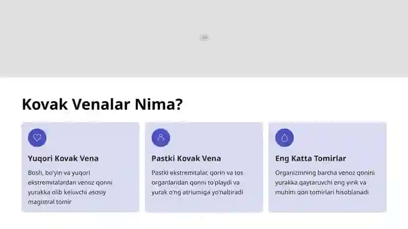 Yuqori va Pastki Kovak Venalar: Anatomiyasi va Klinik Ahamiyati 2
