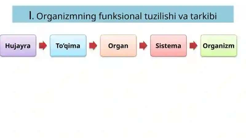 Fiziologiya 2