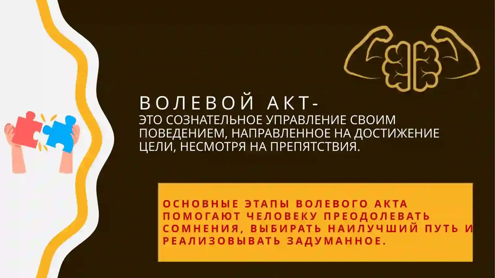 СТАДИИ ВОЛЕВОГО АКТА Т.АЛИХАН 2