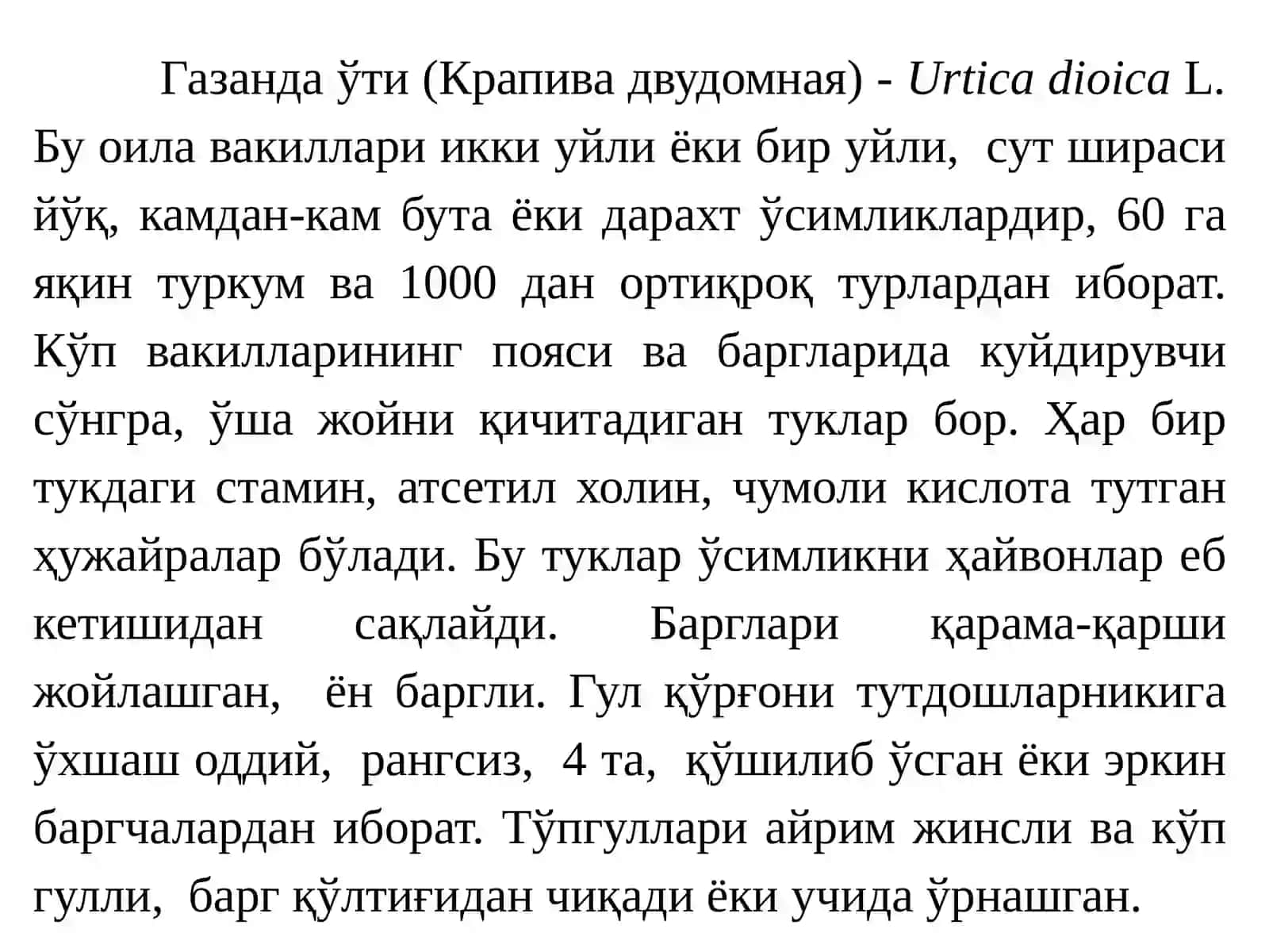 Urtica dioica (Газанда ўти) 2