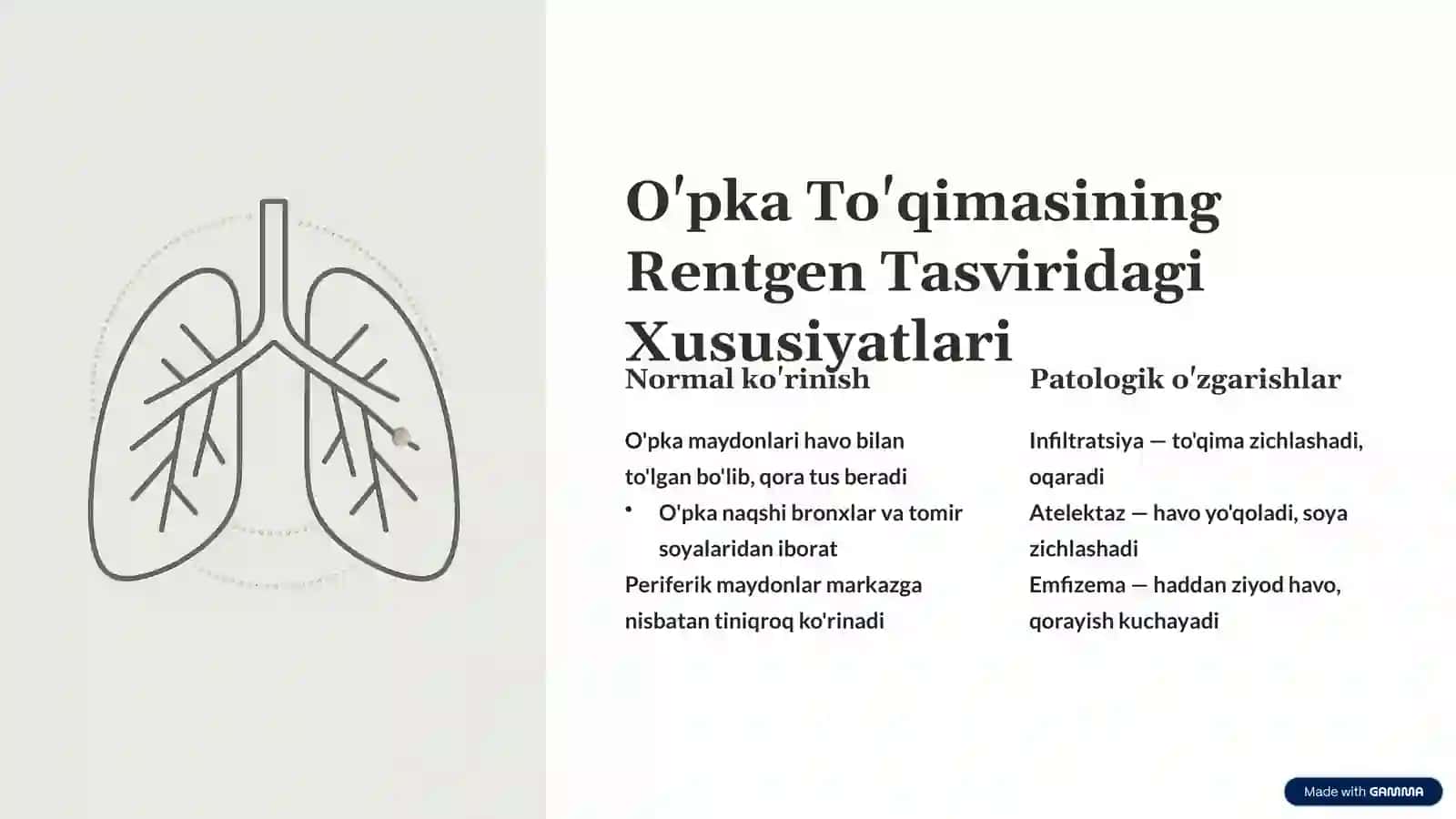 Nafas A'zolarining Rentgenanatomiyasi 2