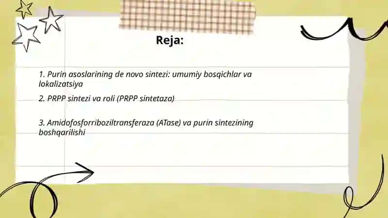 Purin va pirimidin asoslari almashinuvi 2