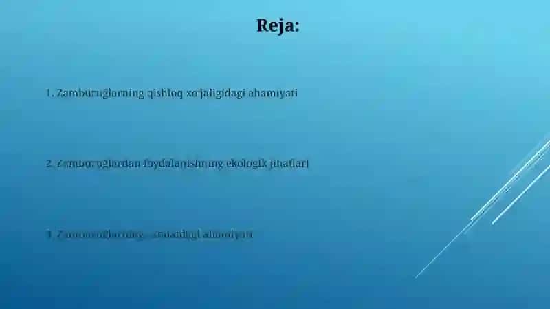 Zamburuğlar yetishtirish texnologiyalari 2