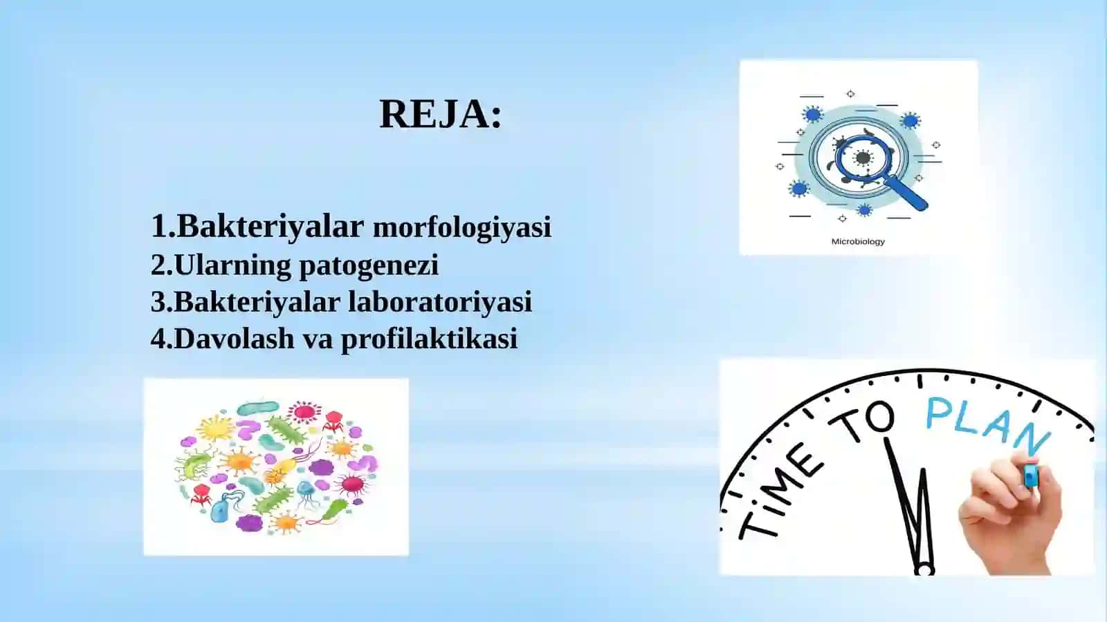 Leptospiralar morfologiyasi, strukturasi,   tarqalganligi, keltirib chiqaruvchi kasalliklari va laboratoriya tashhisi 2